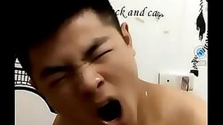 Gay TV 4
